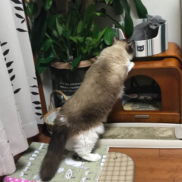 592c38ec 9217 4adf bc28 902fe2b07e62 1508077111770