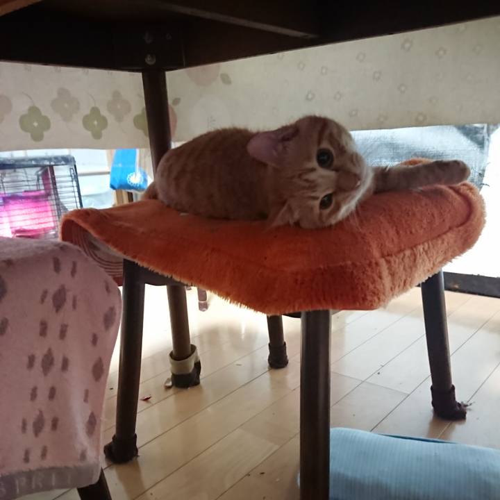 592c89e7 9613 4efe 86b0 7e26a0fc47a2 1639773771186