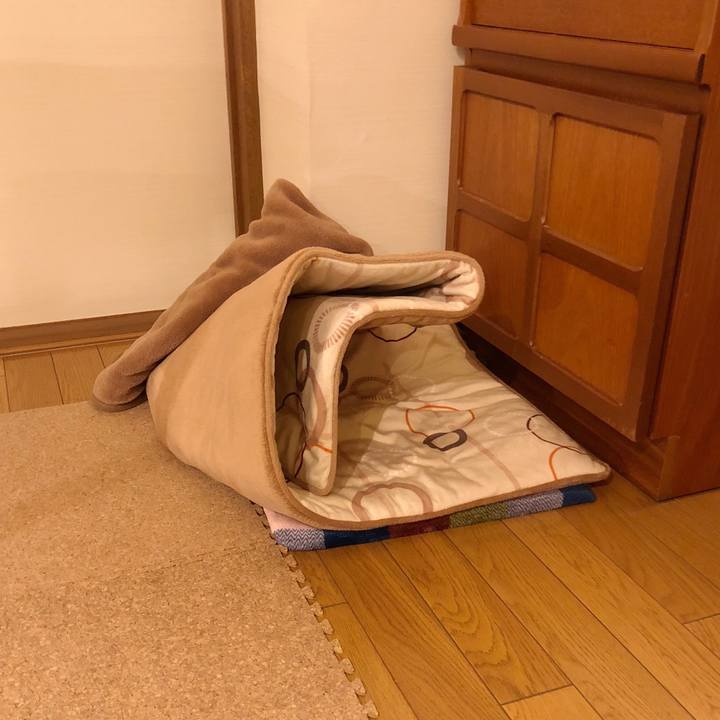 592c9428 0fdf 48db 8cc3 fd188209d795 1517739032513