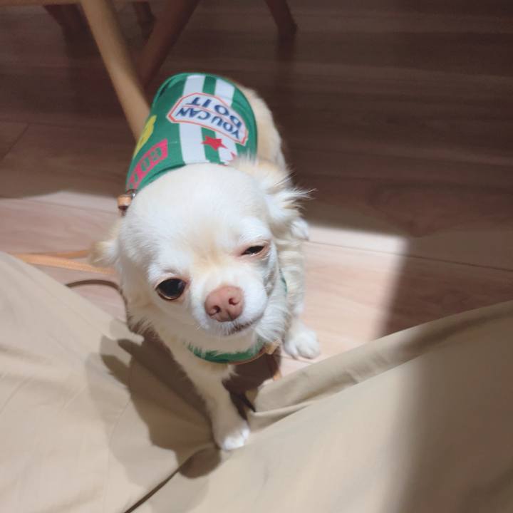 592ce319 7a47 418b b130 17b0badd056e 1690197267968