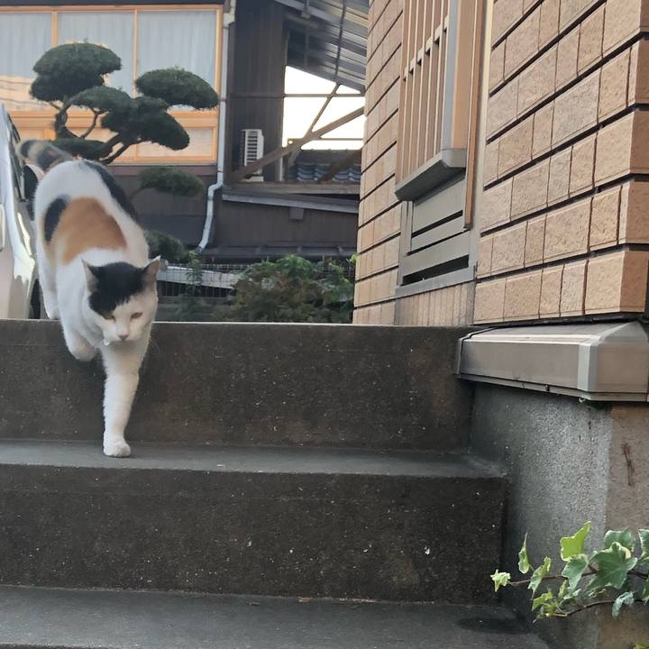 592d0ed9 fc69 4ef4 a22d 99dd5ec050b8 1636247443062