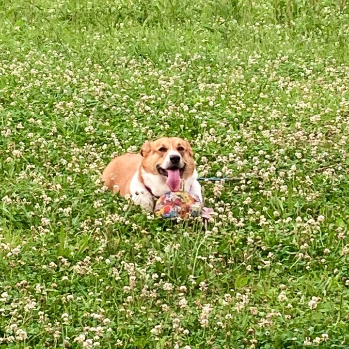 592d22f2 8fd4 4d01 ae21 e37b7a5b6d30 1719878165356