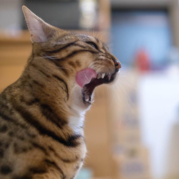 592d7de3 5ea1 4f80 a029 f05dc16598d6 1517762678163