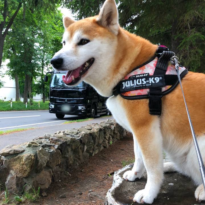 592d916e a2bc 41bd 8ed5 bf4c9bac745e 1594080306398