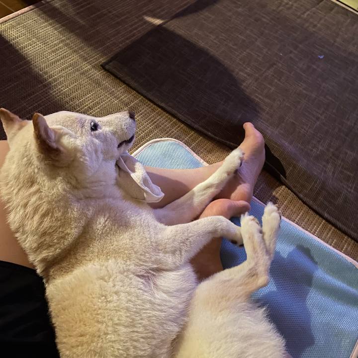 592d93b3 cacd 42ad ad40 3eb7179bca8e 1660314020725