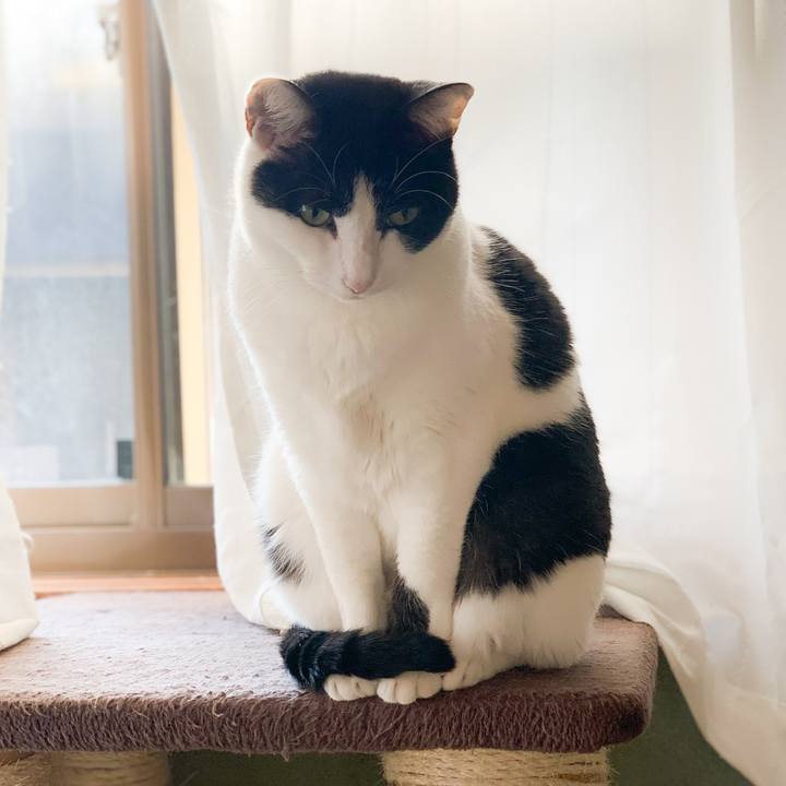 592db1d2 9dc4 429a a233 1733e58285a8 1579658779403