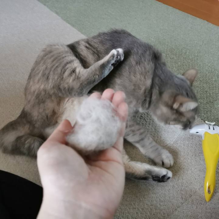 592dddc4 c1e2 4aa7 8d2c 75c7640e2737 1673841449394