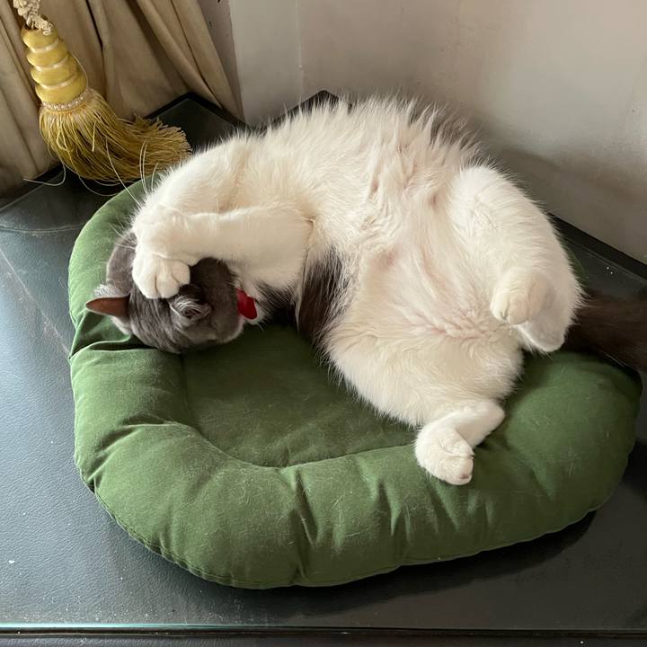 592de7d6 4e63 4893 803a 7eeb83a086c8 1764478398948