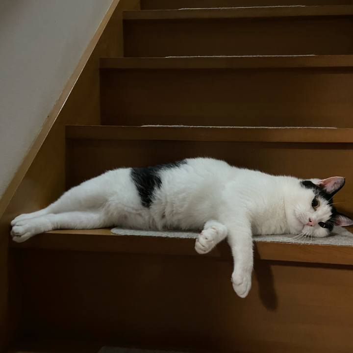 592e06b3 2670 42c9 8a71 6cb287d09ae4 1590061510141