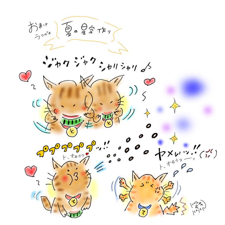 592e264f 4096 4f45 abf0 f70fa1eb984f 1690469469425