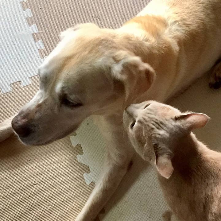 592e5b49 59c7 4075 bd13 41d0aeb74e37 1568068245617