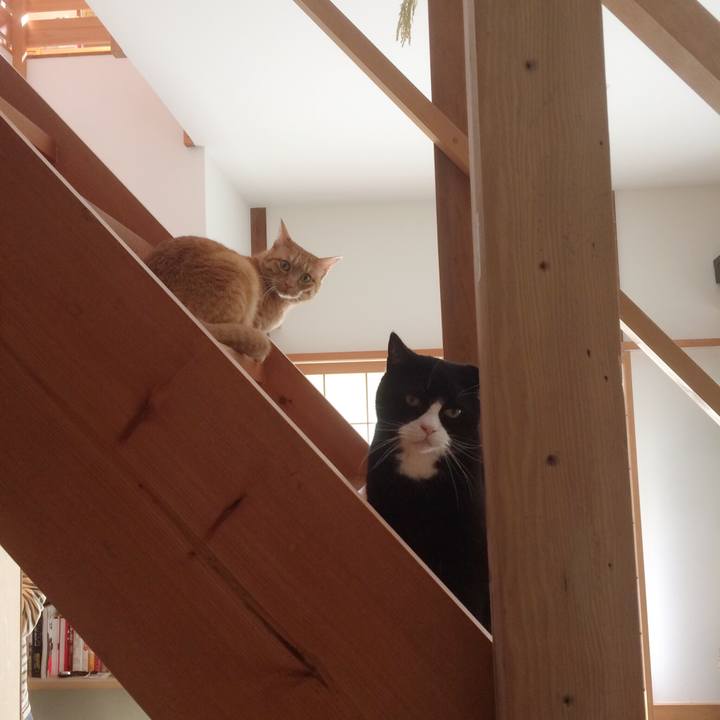 592e7f08 2a58 4d83 9ab1 02c05a89cec0 1522713760958