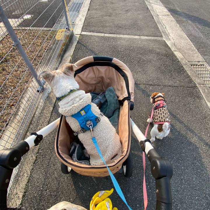 592ebd1a 2c15 4ed3 af73 5320312c402f 1707633034332