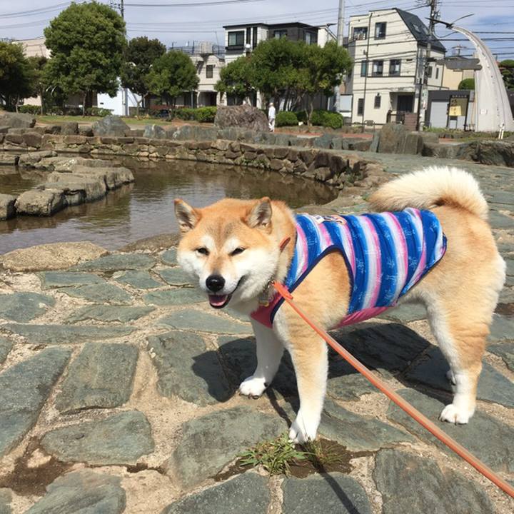 592ee40c f6c7 4fc5 baa5 a4cf2fc711fc 1558489077984