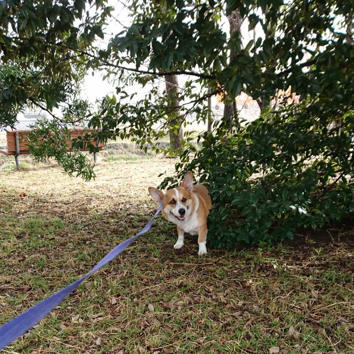 592eeefa 7bbc 41e4 b26c 4aaa21aa0cc3 1581681766900