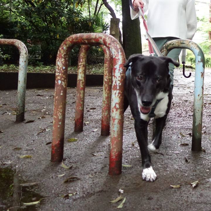 592ef01f 8f85 425f 9645 603b6cce6c4e 1715210681579