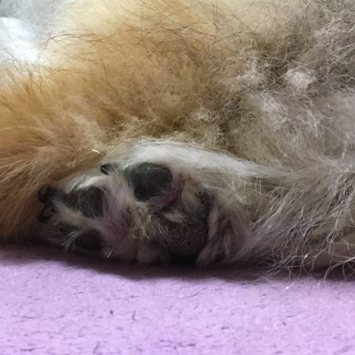 592f5976 f8ac 4048 b5d0 48ff503561a6 1603096569475