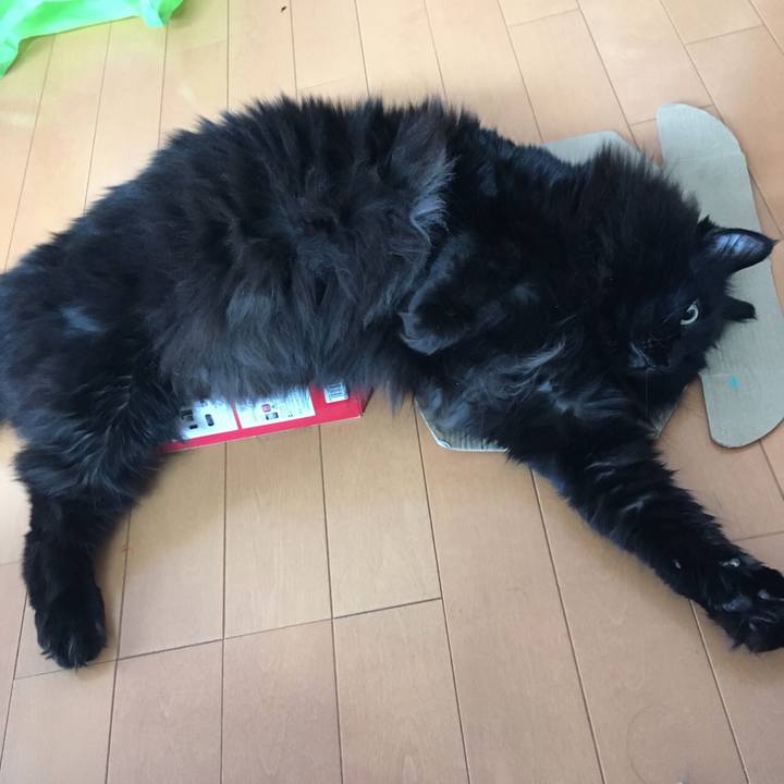 592f5f76 c01f 4ec7 a089 14b14129a467 1549726601655