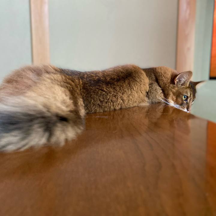 592fce14 4c19 4512 bdcb 837d2589721e 1666314229210