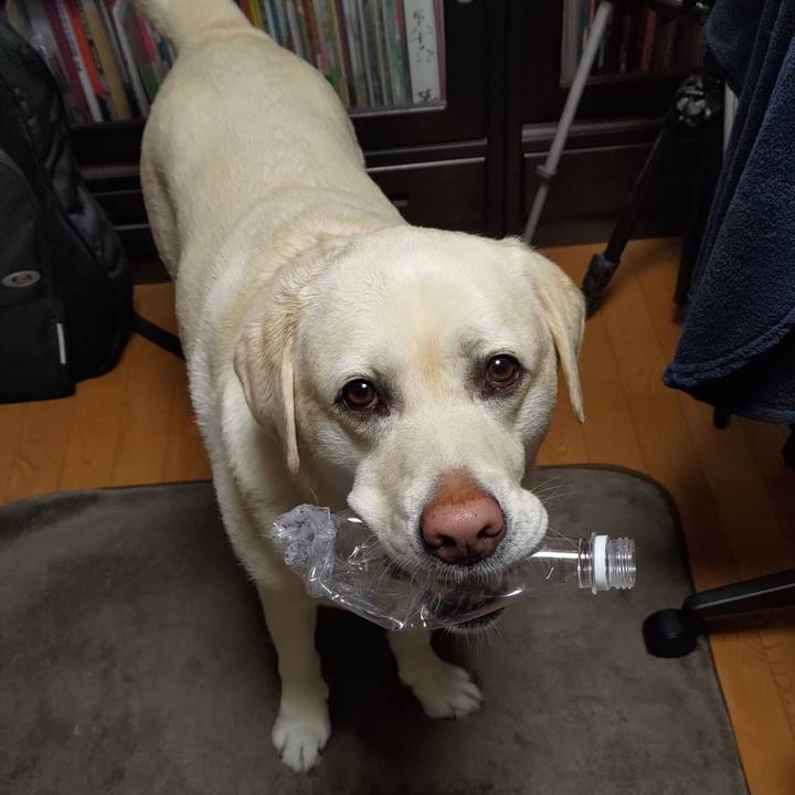 592fd0ed a4b5 4c26 a62d 9fe276fe34da 1652366600816