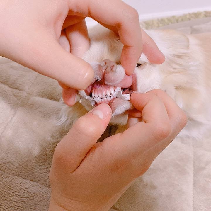 593011f6 ba23 4d32 9d60 5449a463e2b0 1617265143242