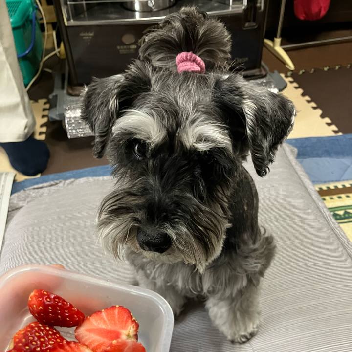 59301626 cc63 46f6 a07a 969a14d087a8 1714536989147