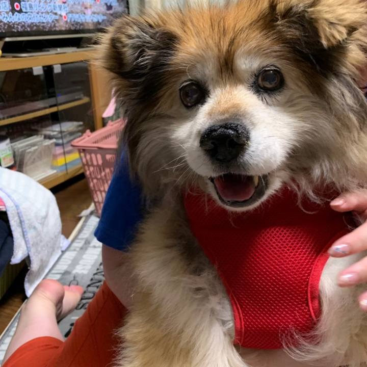 59305742 8027 4155 963c 917cb61f7dbc 1561674862393