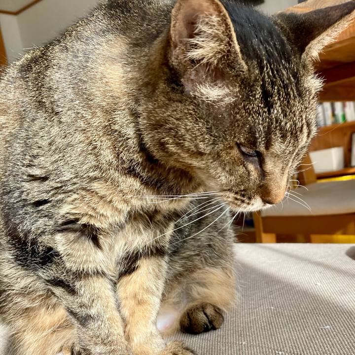 5930705b 9d1b 4856 9d2d d8b01706fc43 1677643502256