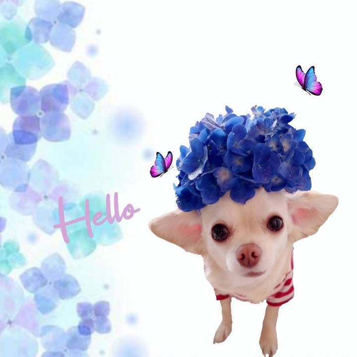 5930766b 0ba9 46bb 97b4 3cb70bac4b33 1686543853468