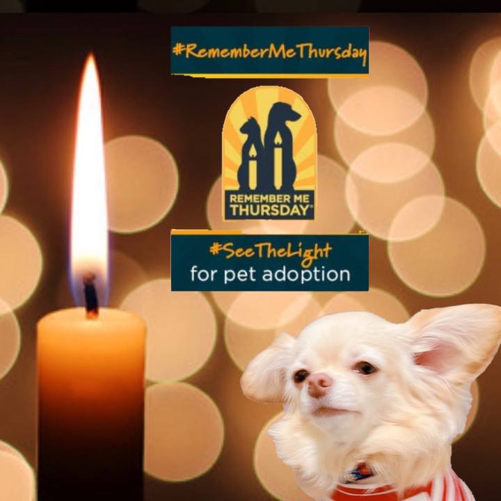 59308c60 1401 4d83 8c1a 48ce84d4f0a0 1663842514858