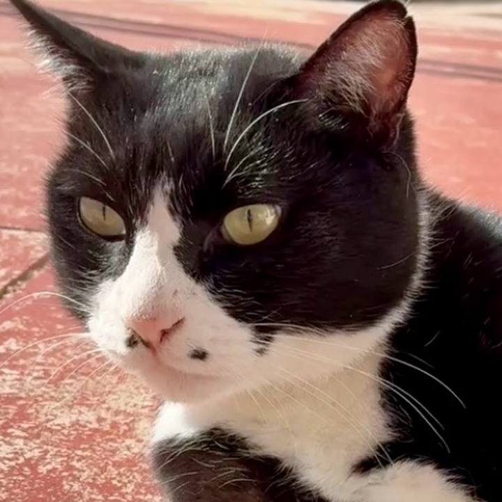 59309721 8cbd 494c a728 16648e8338a3 1764470048152