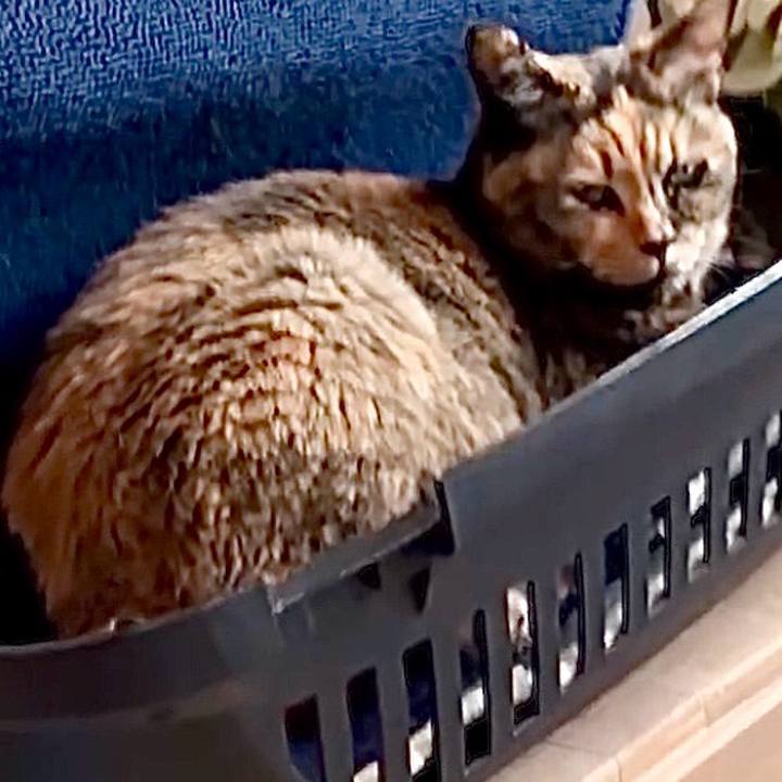 5930a5ec 1b10 4c27 bff9 9d0c47c1f850 1747449675985