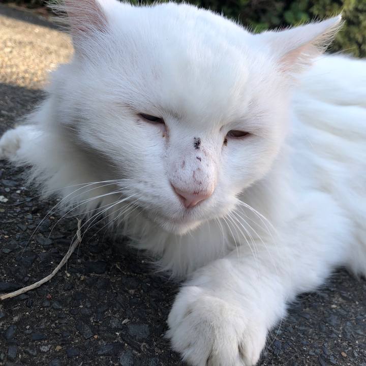 5930af74 556c 4ddc a766 32645bffaaa9 1635764185971