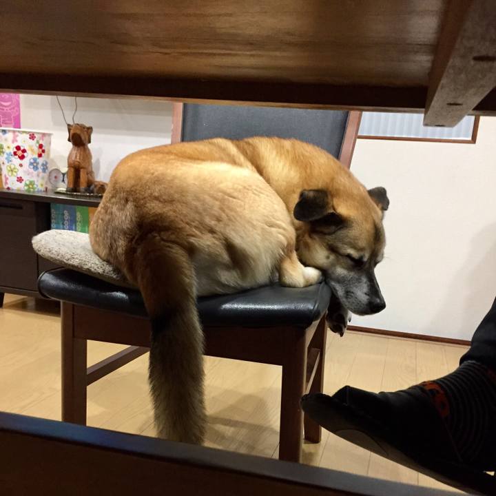 5930b6e0 e444 47bd ba5c 032d0d7d8316 1521283798908