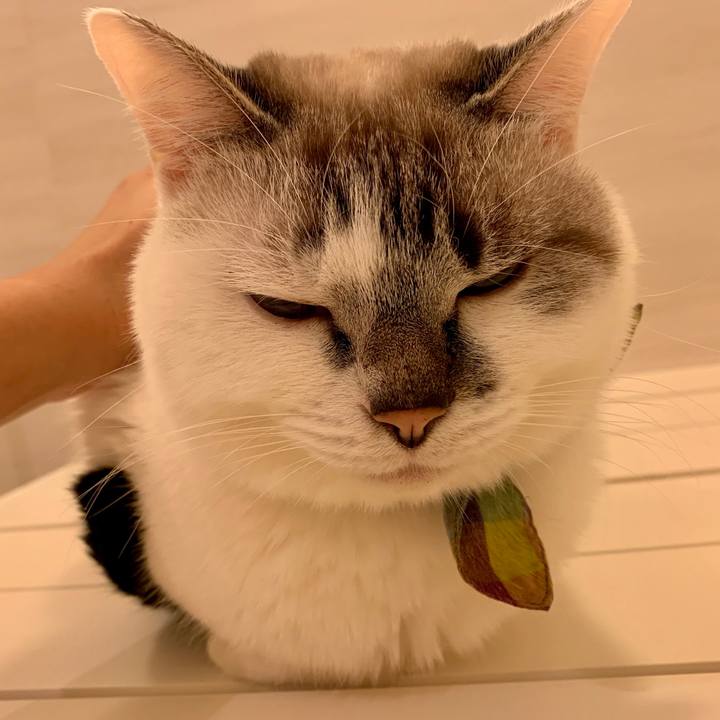 5930bcf0 322e 432c aa0b 8715a996d9ab 1573733619274