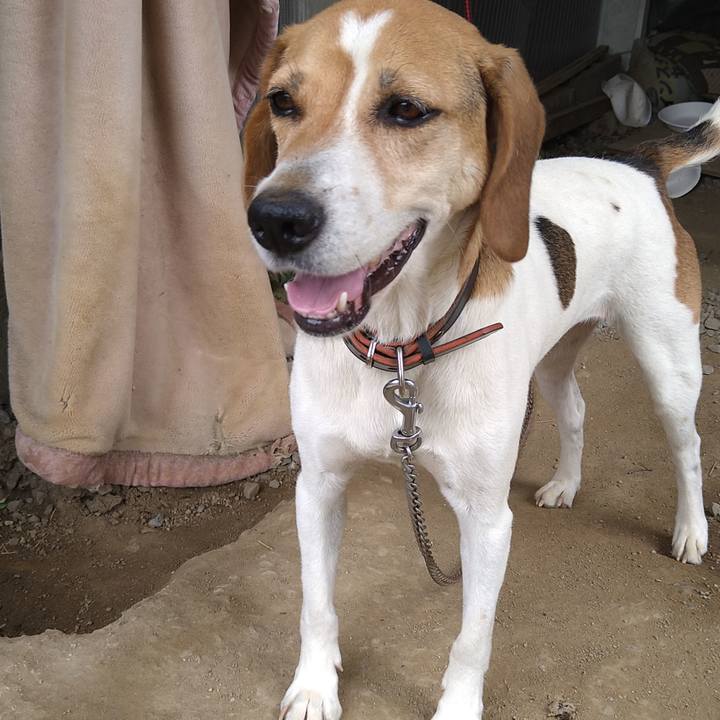 5930d8f7 864a 4fee 97dd b38dc5dc7dff 1656130629661