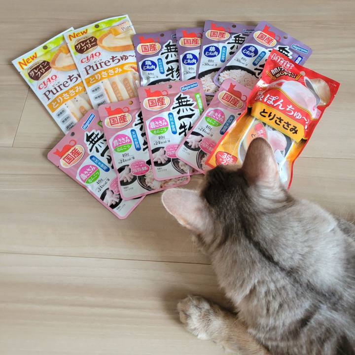 59310685 253d 491d a357 f5cbcb3d9247 1631445380942