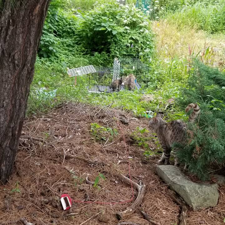 59310b77 3f14 4ed4 84ca d27c4eb4a1a5 1691679126053