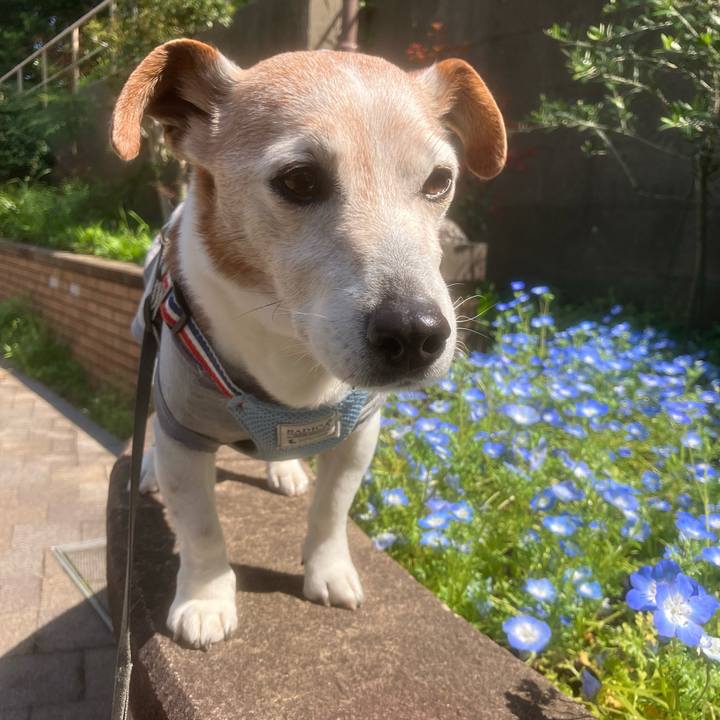 593139f4 29a6 4dde a203 47487bdc9bbd 1775516923350