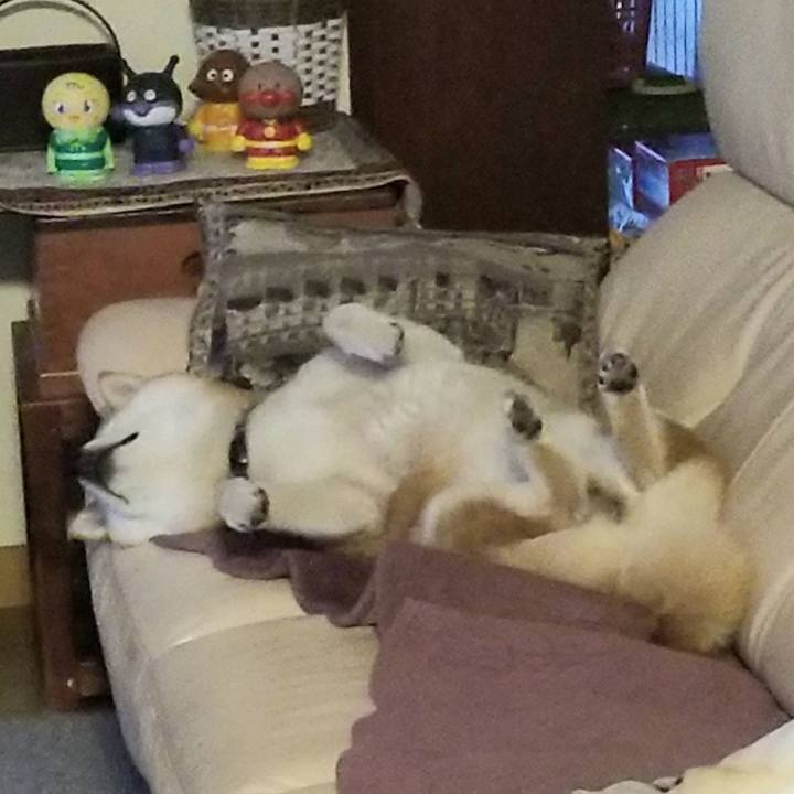 59314f1b ae42 426b 9ab6 07c5ad5c8fc7 1650064090728