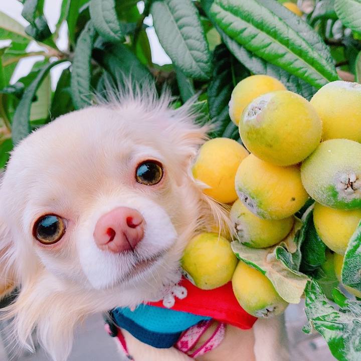 5931aa1f 7172 440e 8392 f0ab359cd725 1621846183384