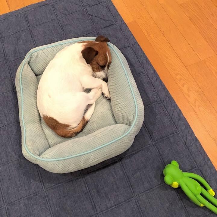 5931afb8 6028 419f ab74 089904b9e420 1522418735393