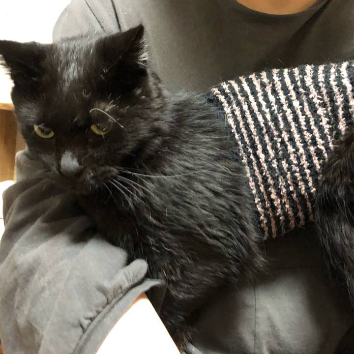 59327bb8 8846 4051 92e3 3009c269e775 1638689245082