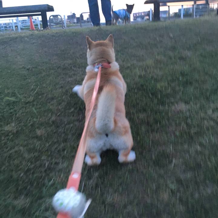 59329010 9f2d 4c47 969c d790ed7ff2c8 1559210283851