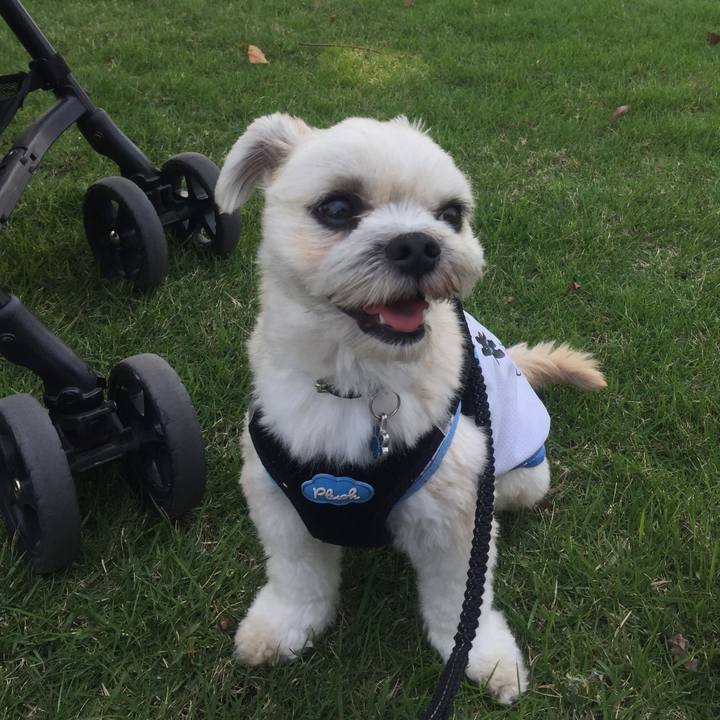 5932a0b9 4bed 40f1 9c95 6c198913f153 1529932461470