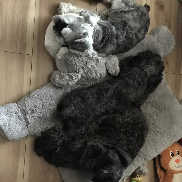 5932e55a 7e16 4412 884d 0d31cbcd353f 1567920199669