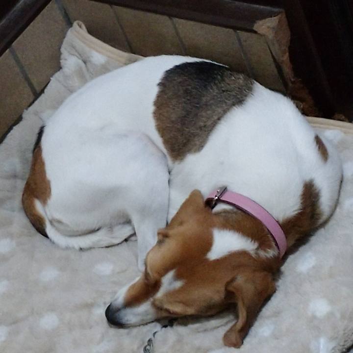 59335755 ad7e 4617 a926 51c962455981 1576766998286