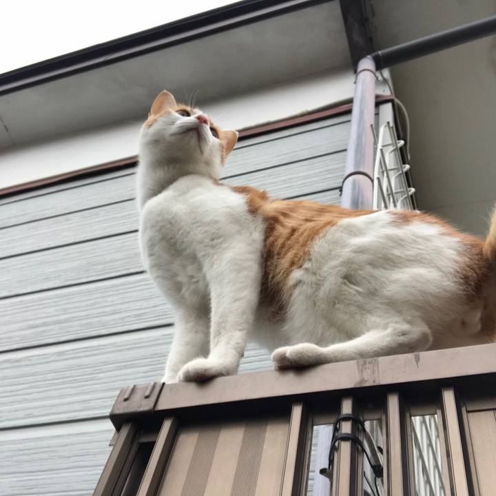 59336e27 1f92 4f9f 8440 732ffbc5d593 1511063893499