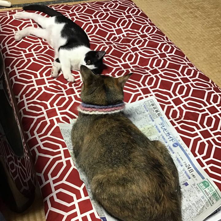 5933927a faea 43f2 92d5 c4451a67b66b 1627109527928