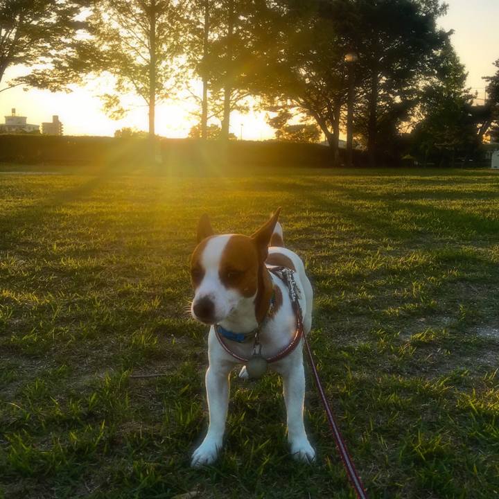 59339d60 8da6 440c abce 8252e552d2b9 1524997010679